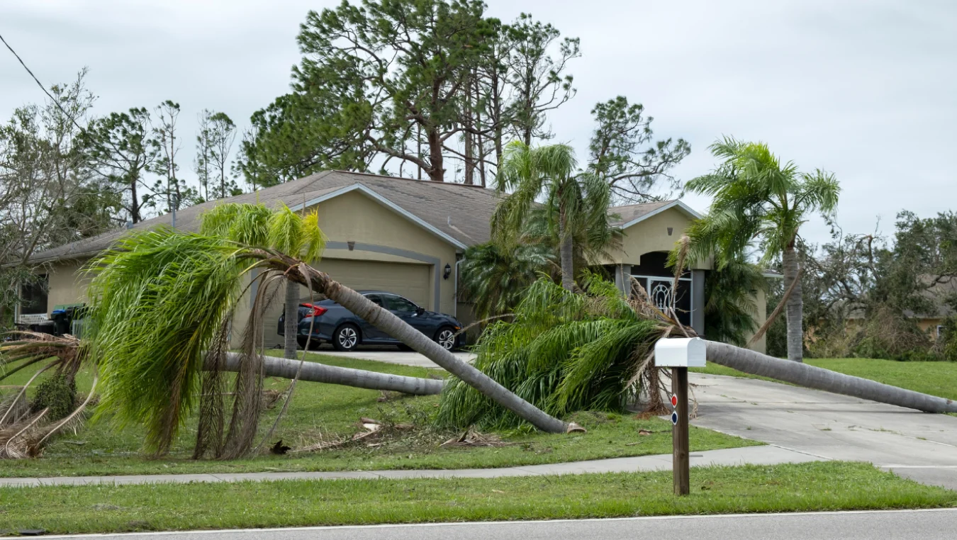 Disaster Cleanup Vinita OK