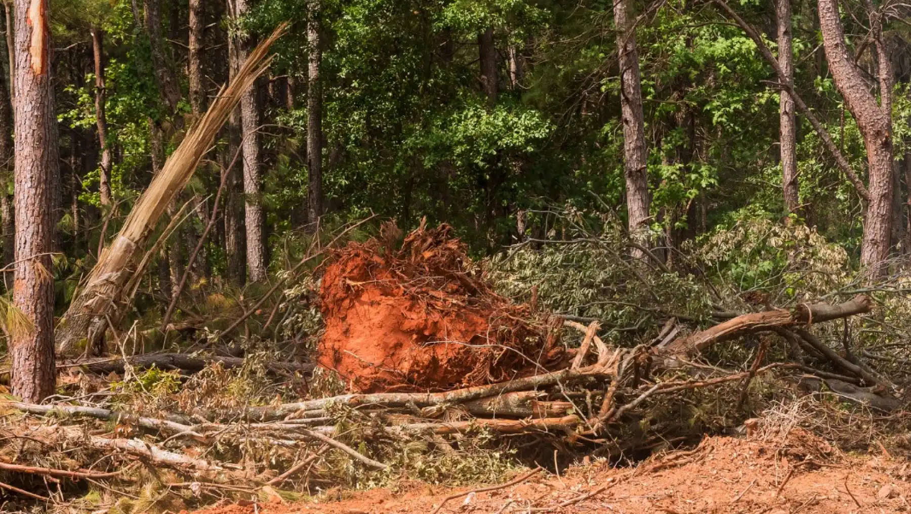 Land Clearing Vinita OK